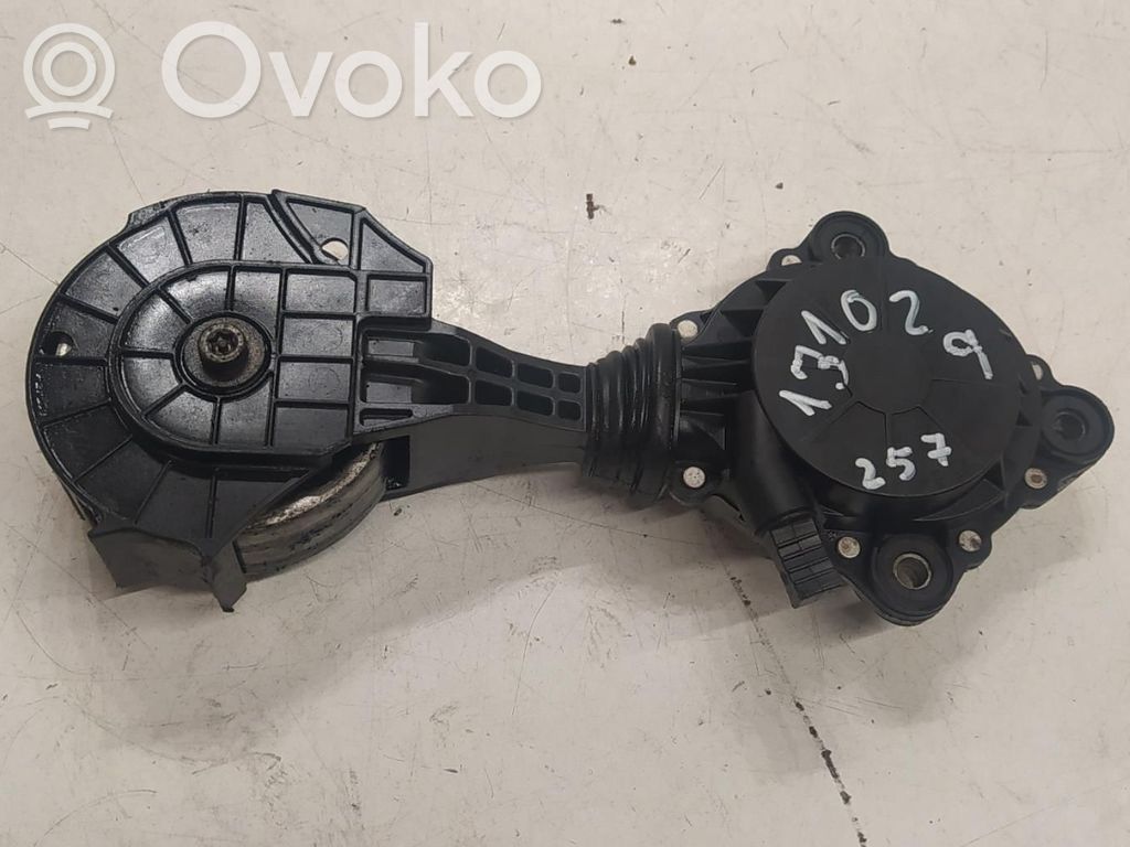 Peugeot 207 Generator/alternator belt tensioner 