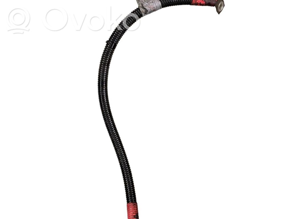 Cable positivo (batería)   6179403