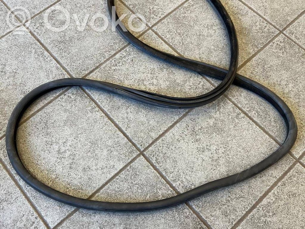 BMW 5 F10 F11 Front door rubber seal 