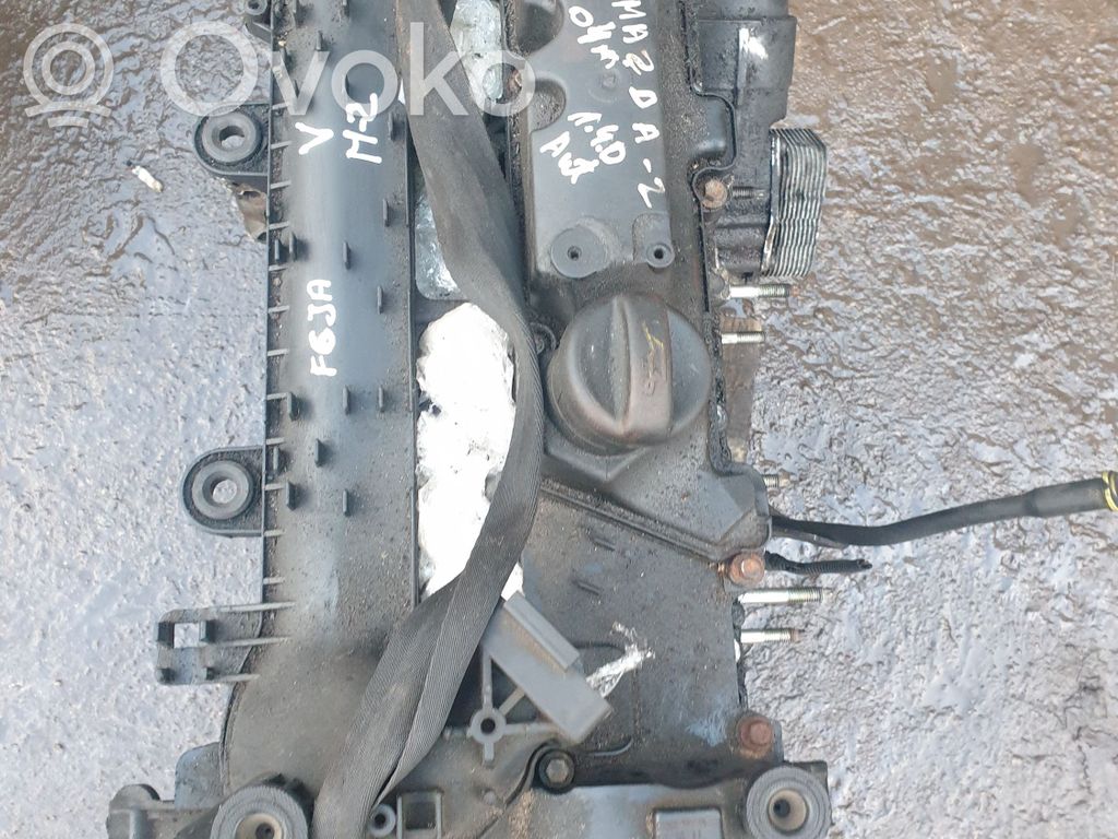 Variklis   F6JA