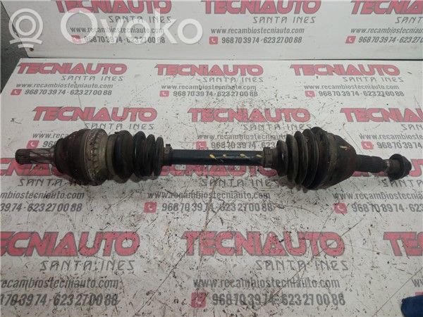 Eje delantero   374989,7149110188003