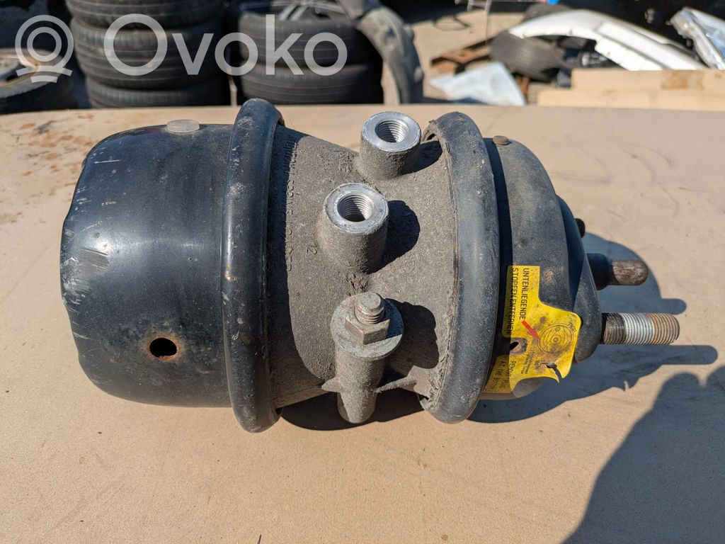 Ford F550 Servofreno 