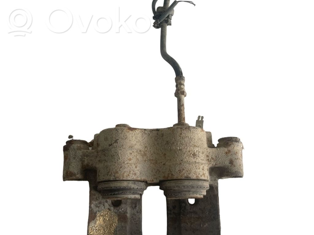 Takajarrusatula   42548182