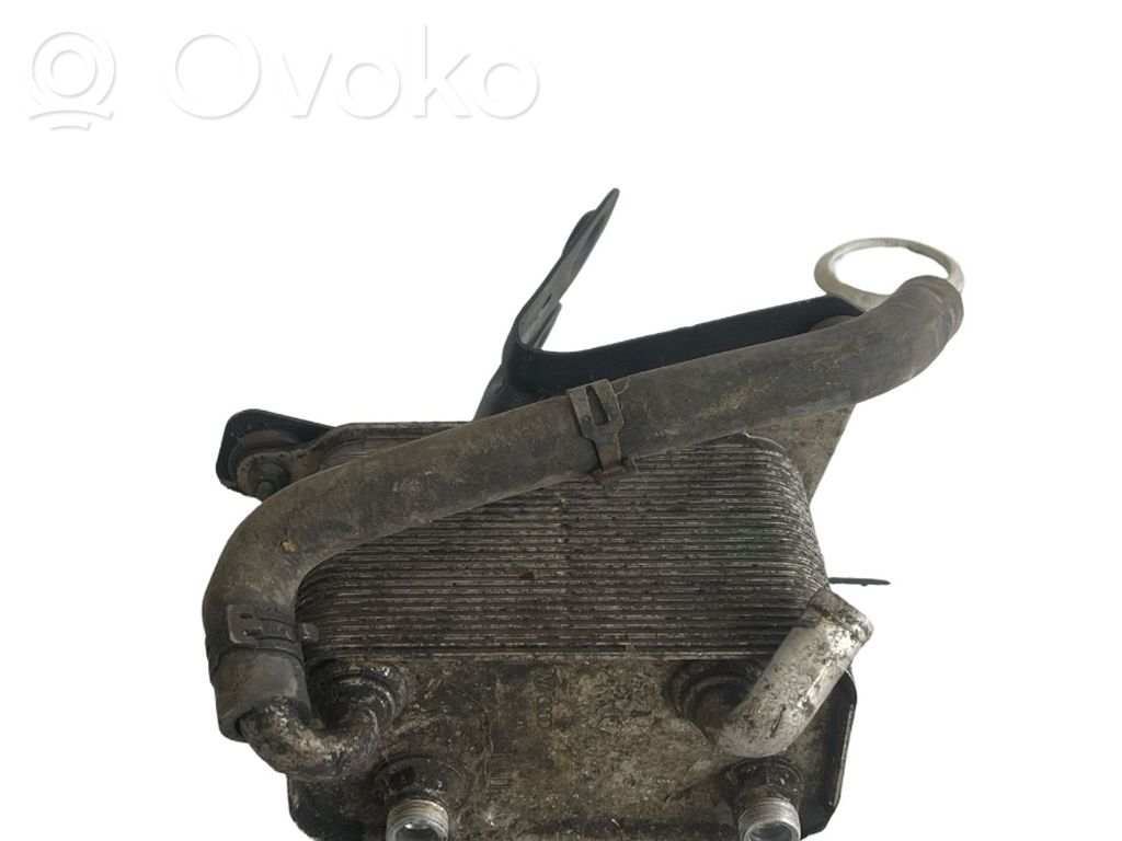 Engine oil radiator   3D0409061G