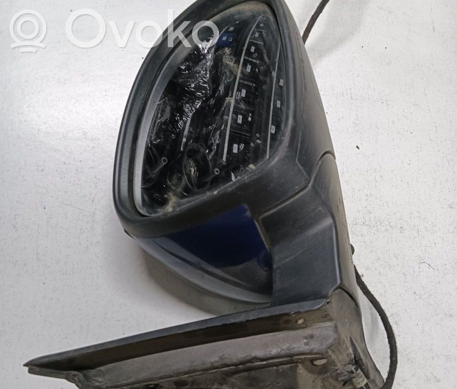 Volkswagen Tiguan Elektryczne lusterko boczne drzwi przednich 