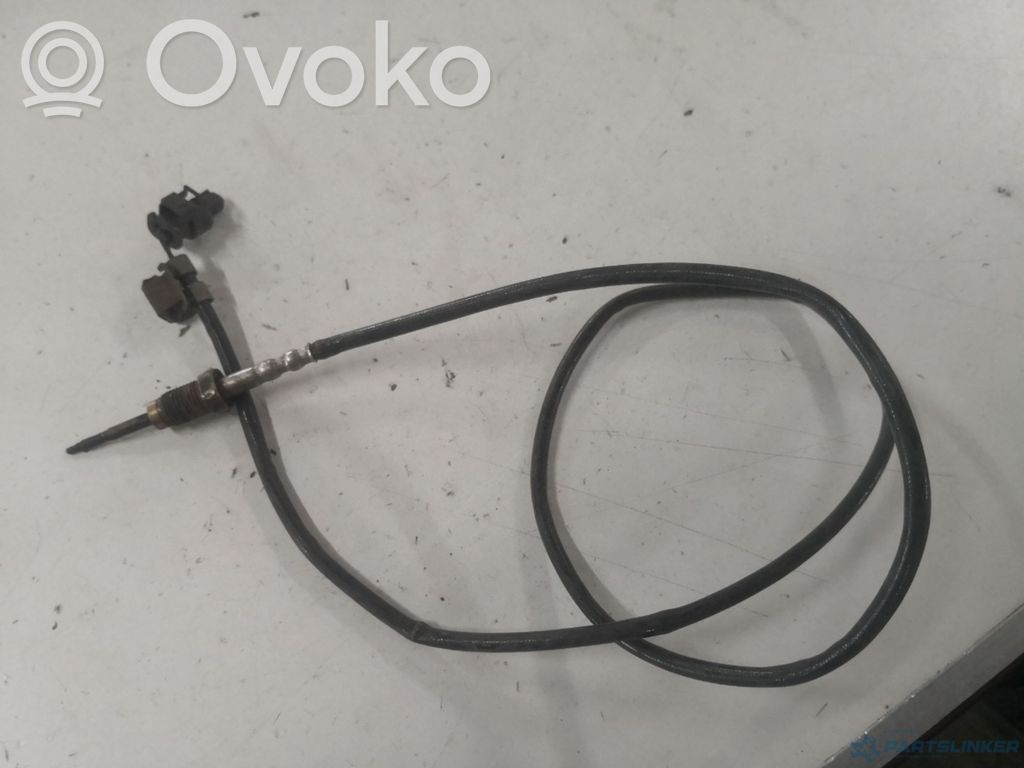 Abgastemperatursensor   2656002921
