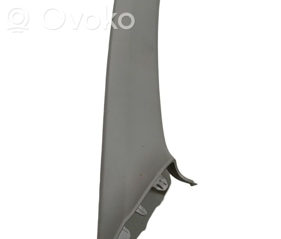 Pilar (B) (inferior)