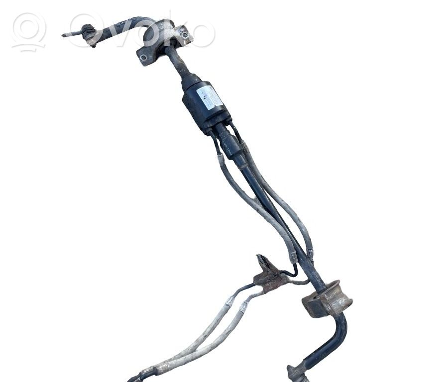 Stabilisator hinten   3712677104508