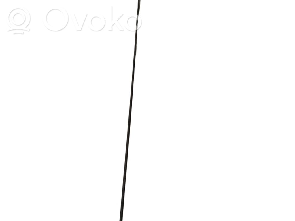 Radion antenni