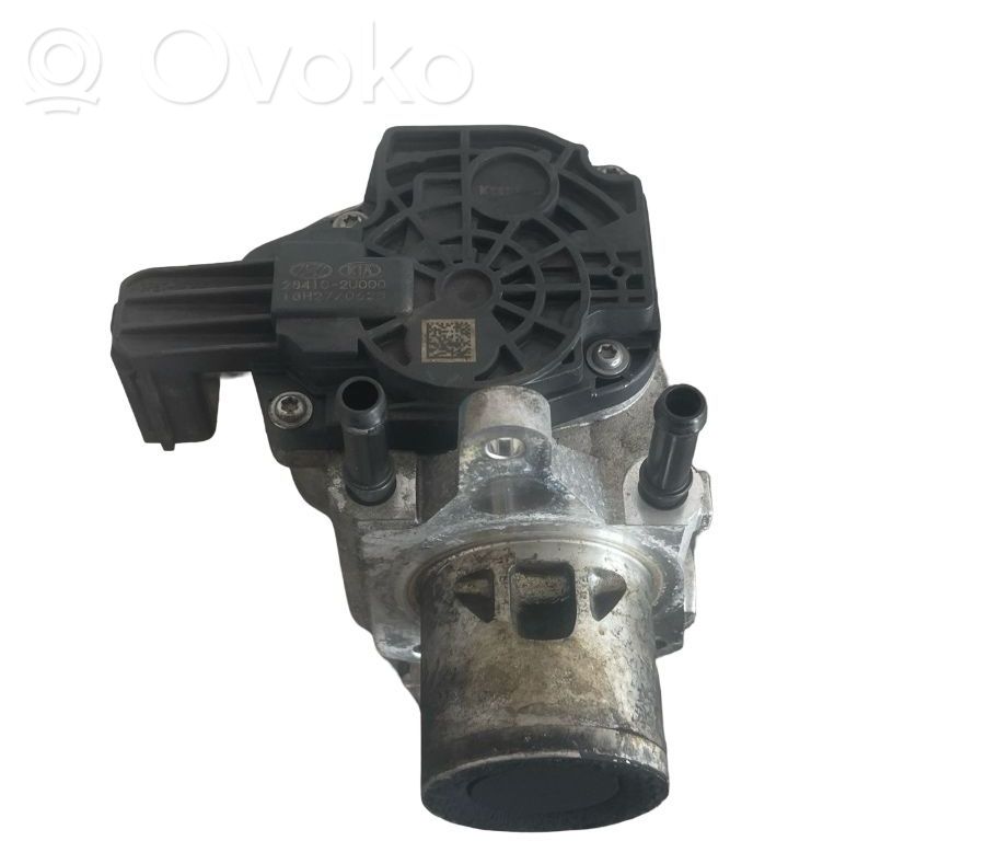 Válvula EGR   284102U000