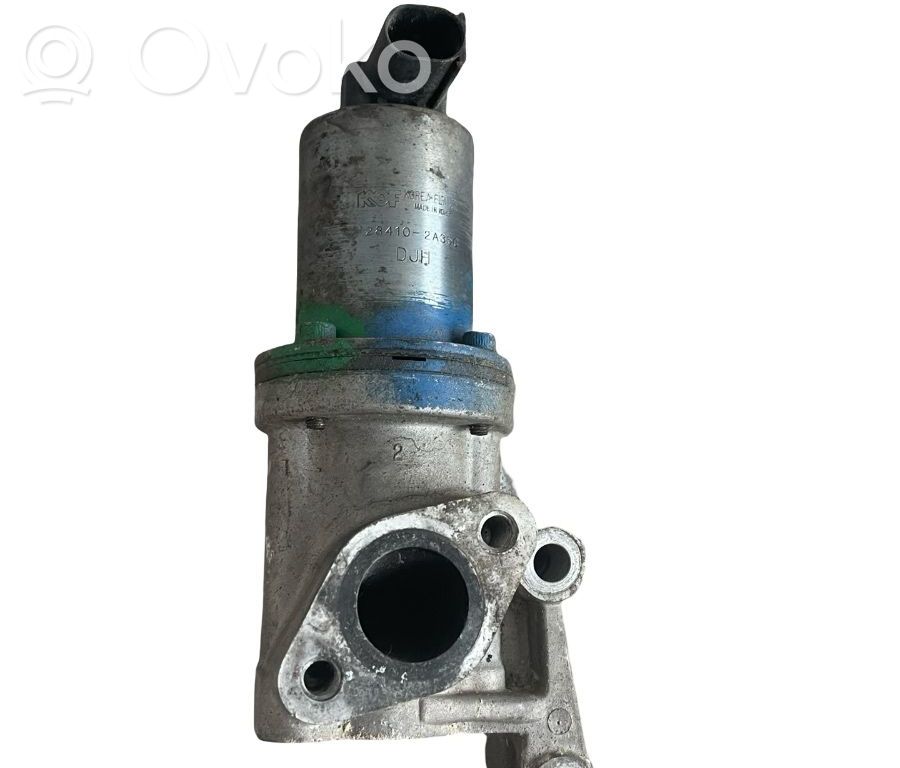 Válvula EGR   284102A350