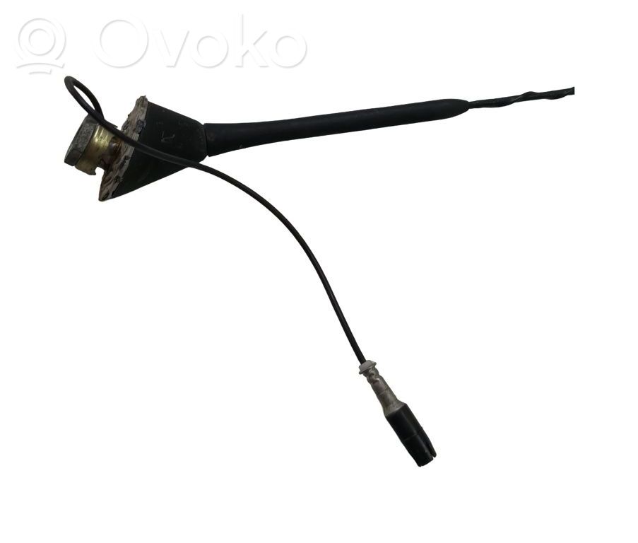 Radion antenni