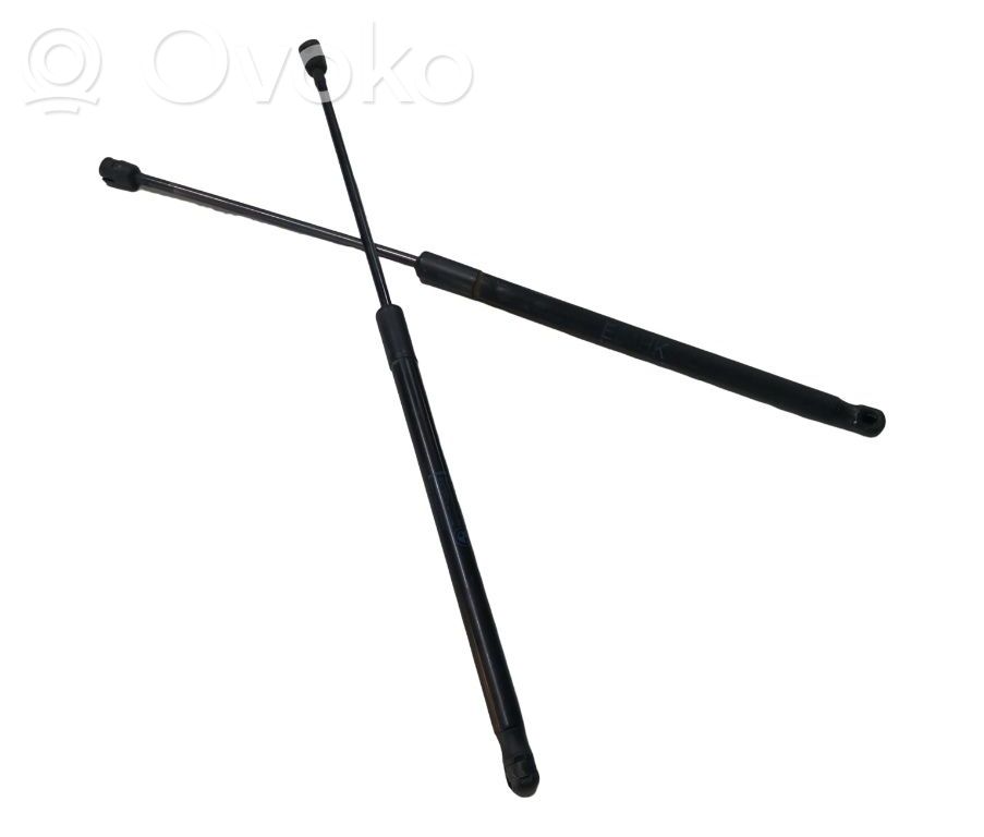 Heckklappenstrebe