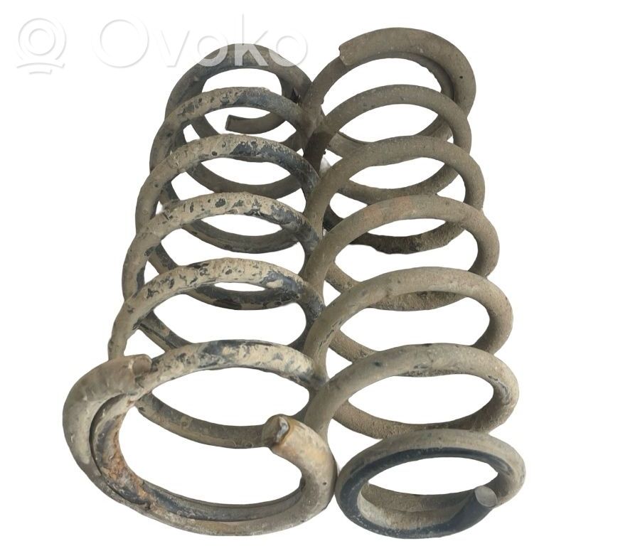 Rear coil spring