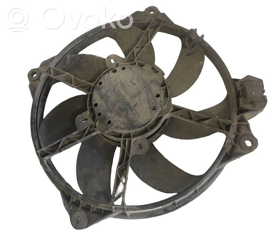 Elektrolüfter   214819402R