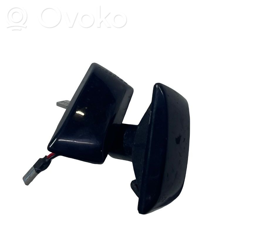 Seitenblinker   13252455