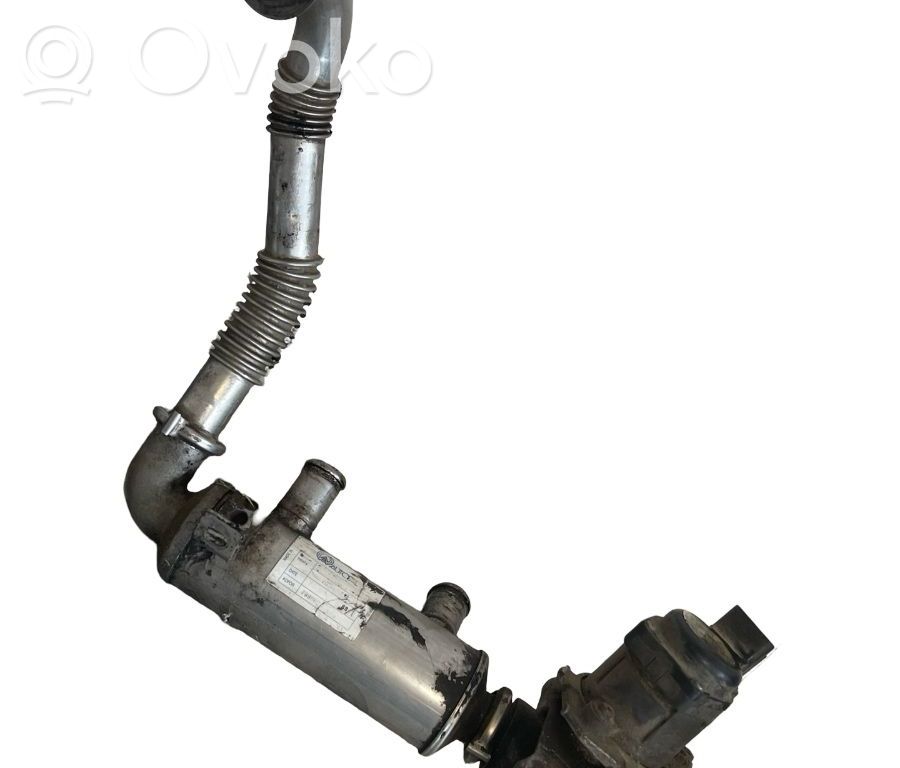 Válvula EGR   9658203780