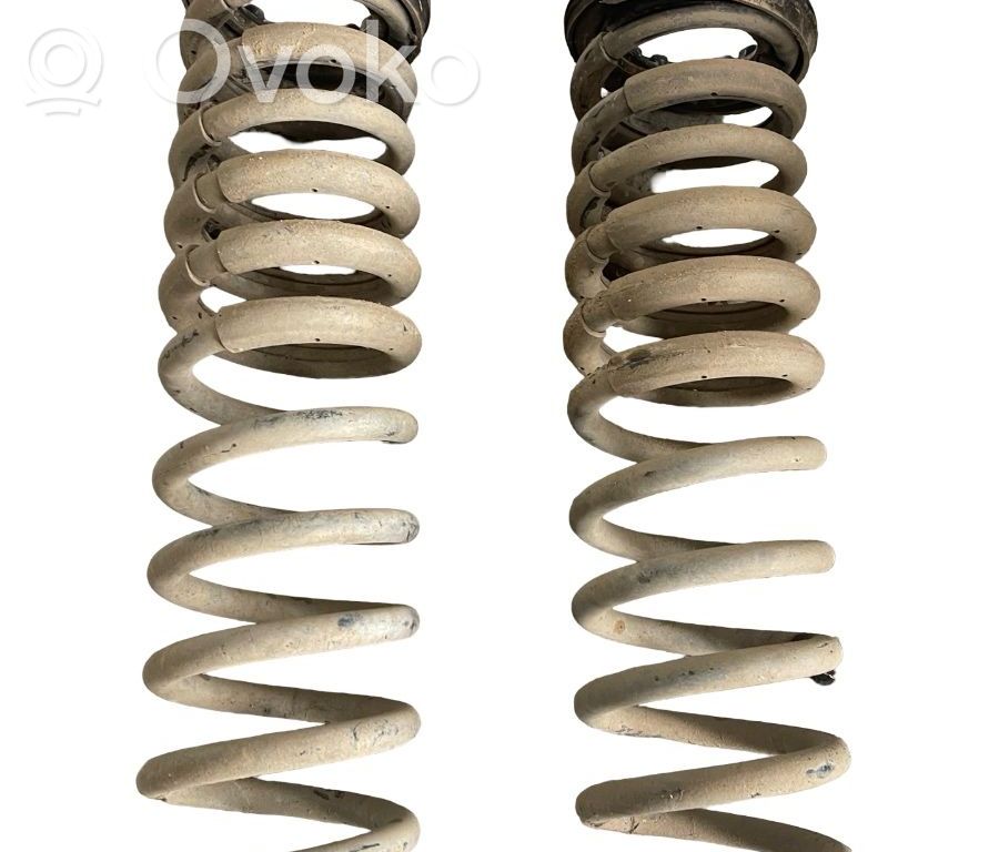 Rear coil spring