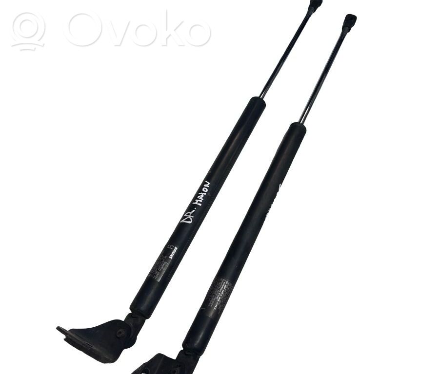 Jambe de force de hayon