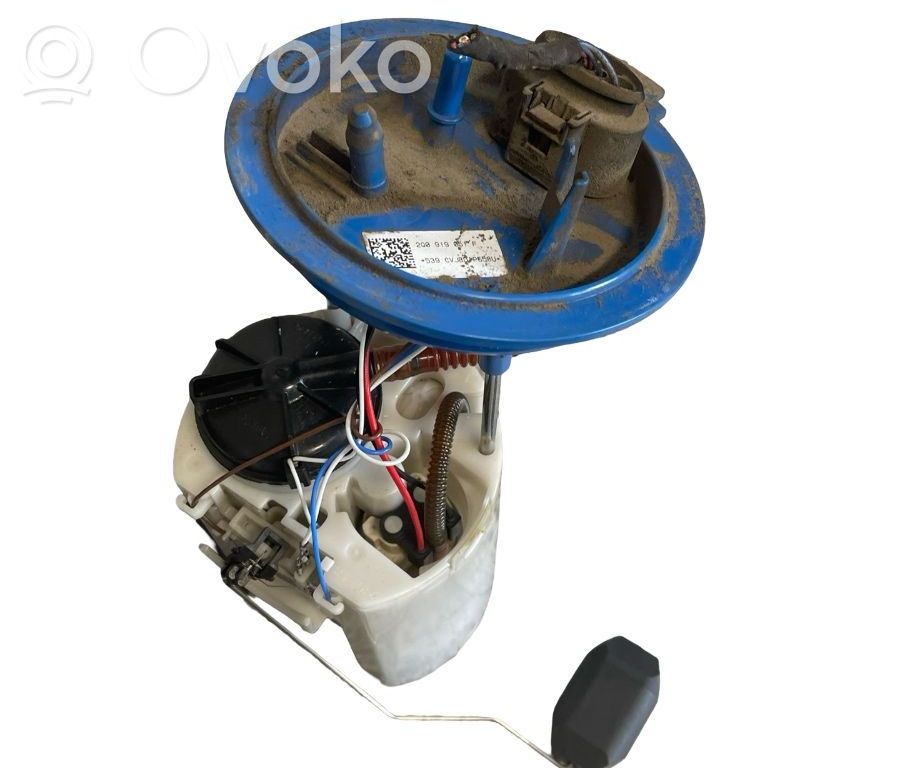 Bomba interna de combustible   2Q0919051F