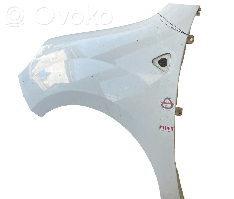 Renault Kangoo II Panel lateral delantero 
