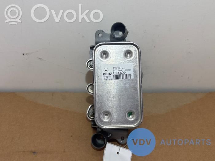 Mercedes-Benz G W461 W463 1st Gen Mocowanie / uchwyt filtra oleju 