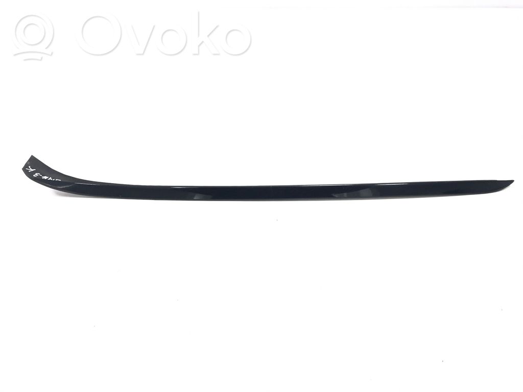 Door glass trim