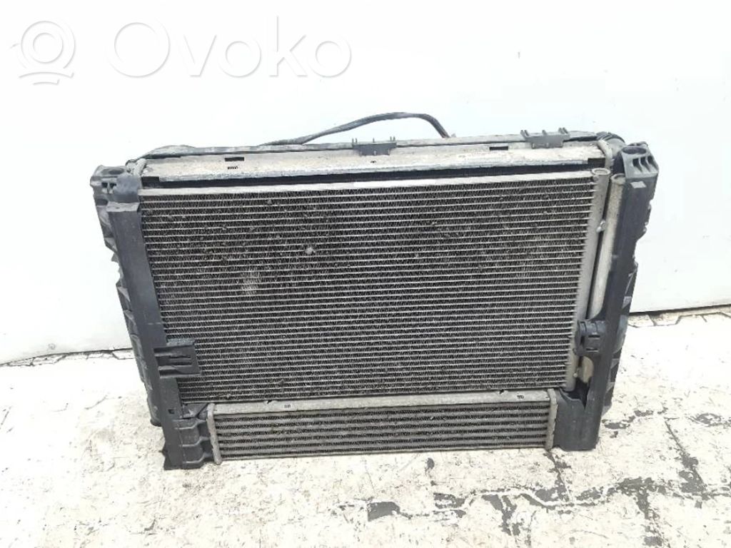 BMW 3 E90 E91 Aušinimo skysčio radiatorius 