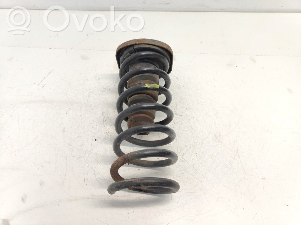 Ford S-MAX Rear coil spring 