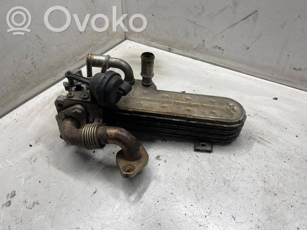 Volkswagen PASSAT B6 Refrigerador de la válvula EGR 