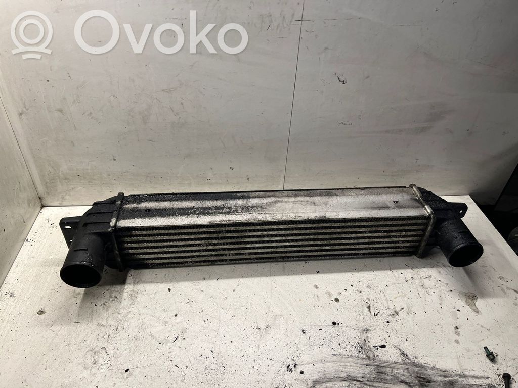 Interkūlerio radiatorius   96629070