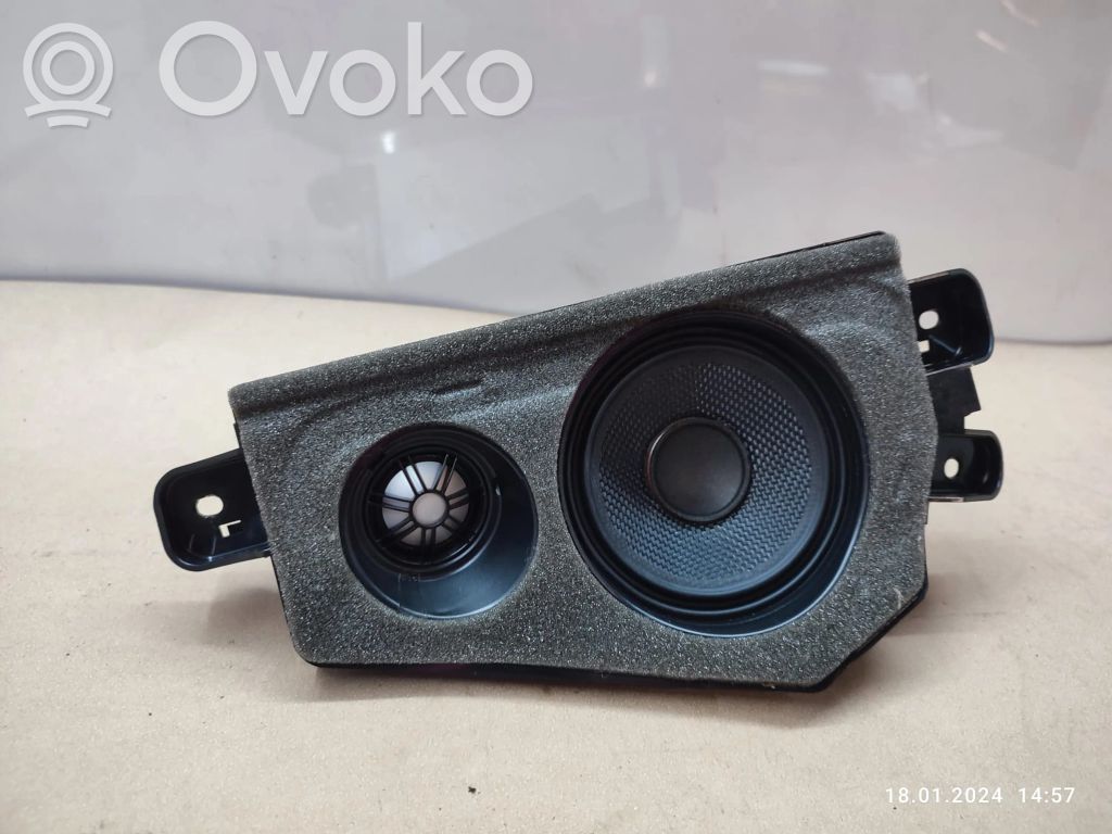 Altavoz de la puerta trasera   9211049