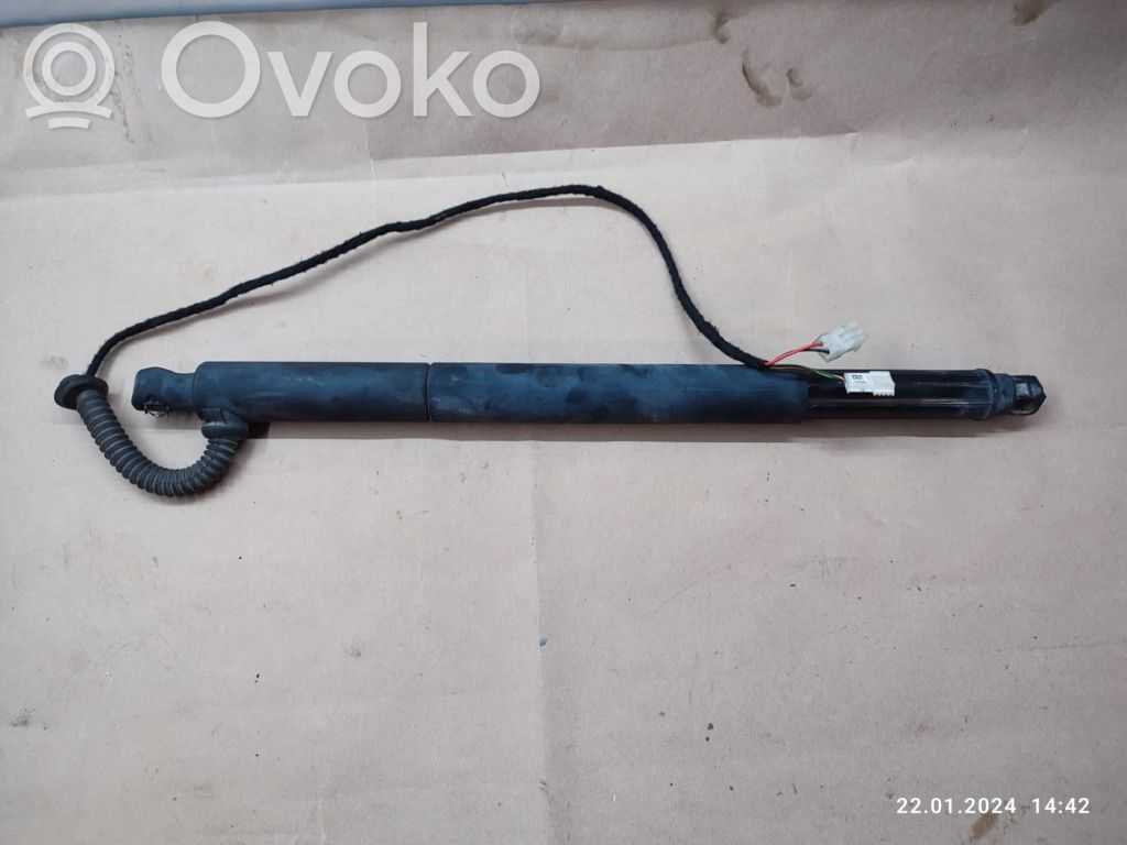 Tailgate/trunk strut/damper   7294590