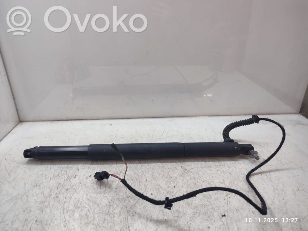 BMW X6 E71 Tailgate/trunk strut/damper 