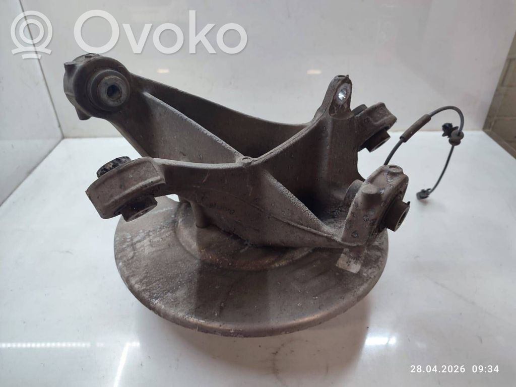 Piasta koła tylnego   118841100G