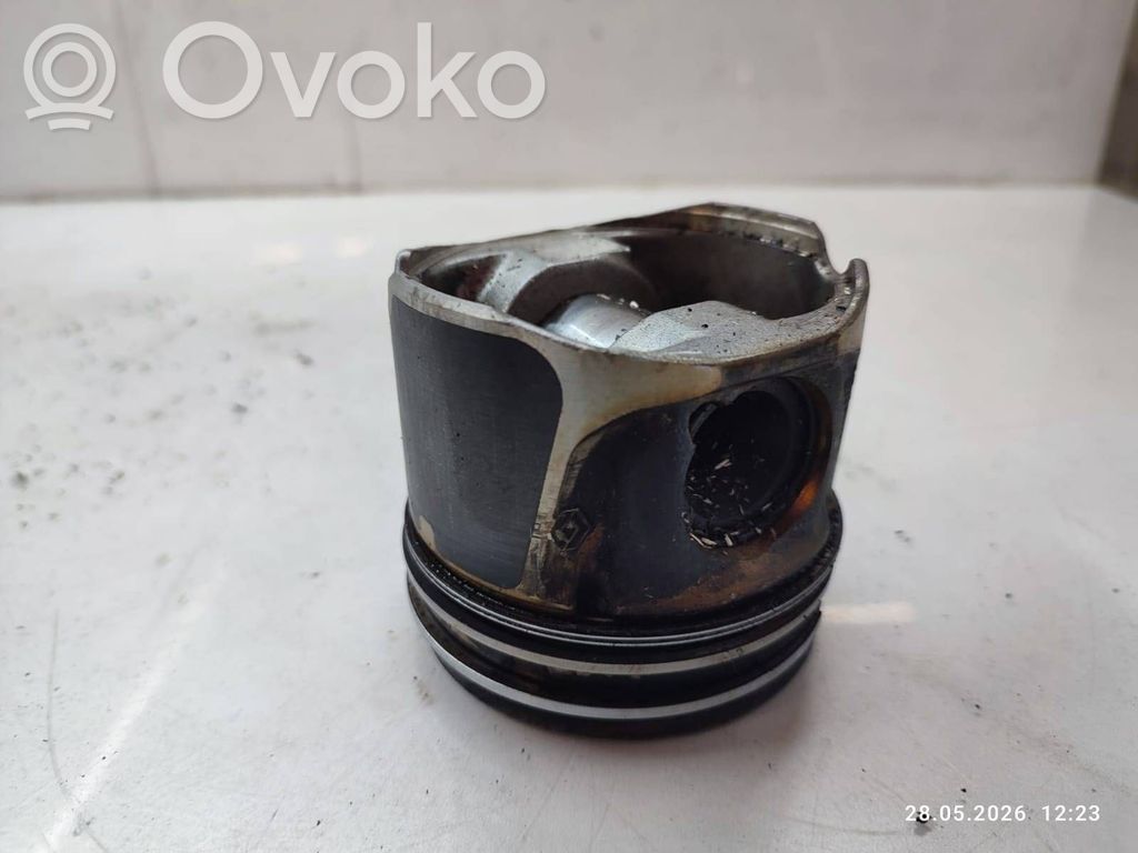 Piston   10587