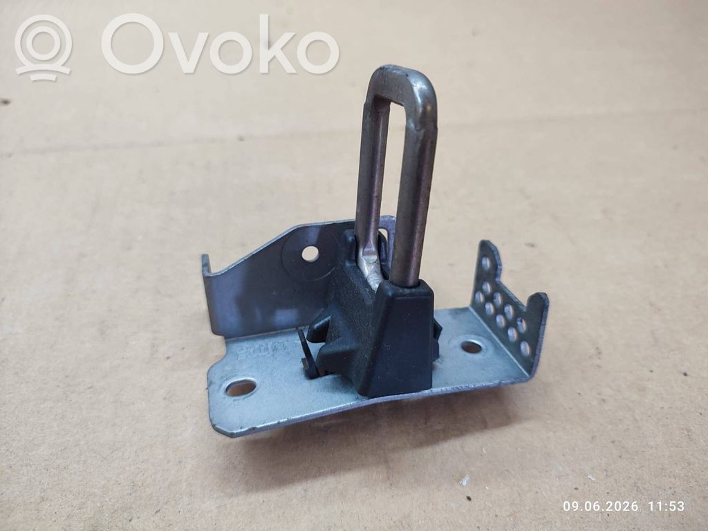 BMW X4 F26 Cerniere del vano motore/cofano 