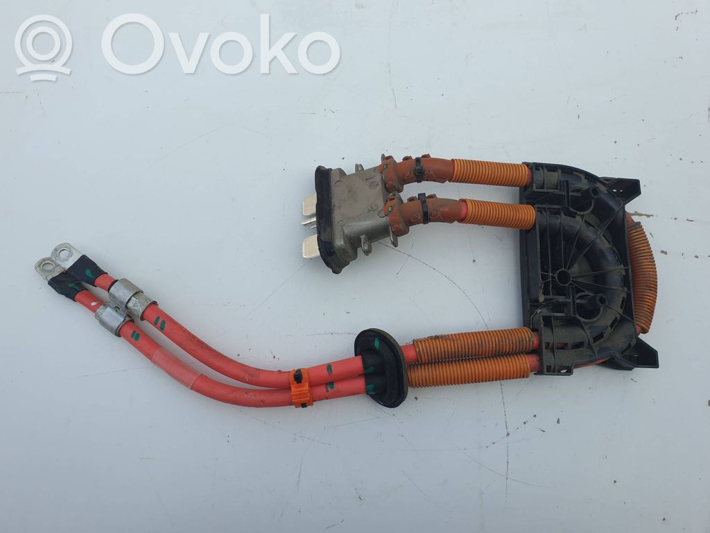 Tesla Model S Bremžu elektrības vadi 