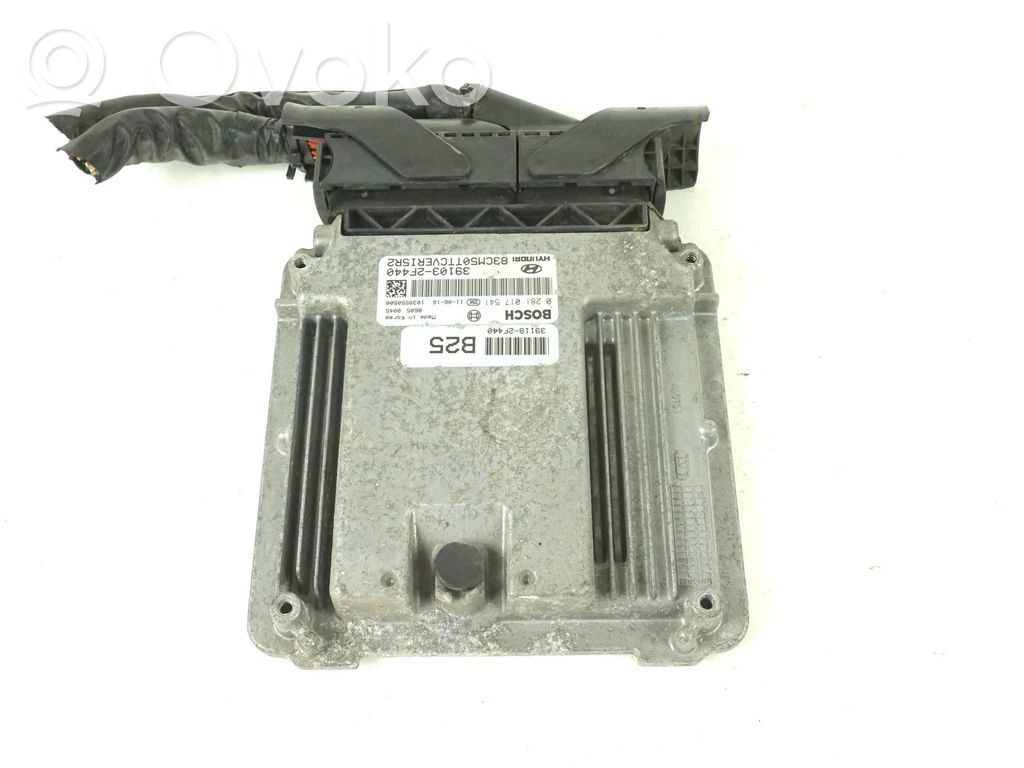 Hyundai Santa Fe Engine control unit/module ECU 