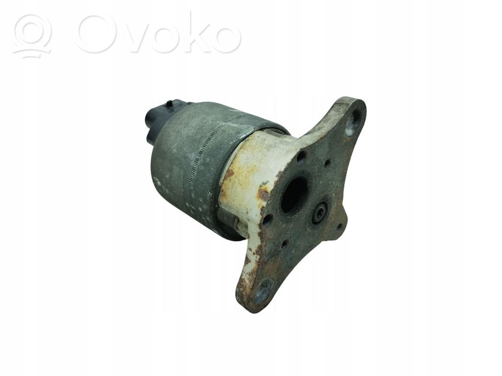 Chevrolet Captiva EGR valve 