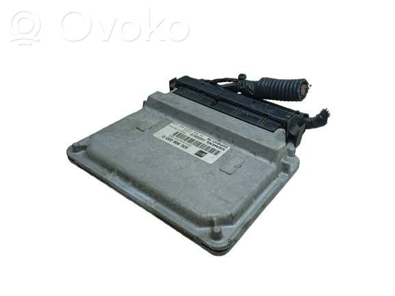Seat Ibiza III (6L) Engine control unit/module 
