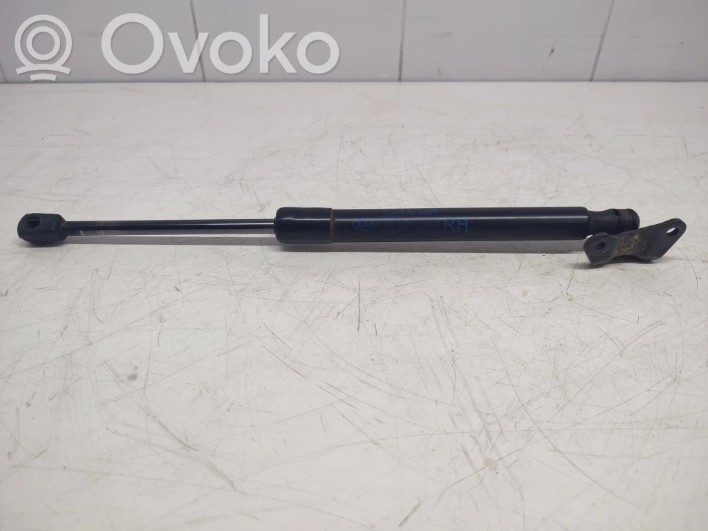 KIA Ceed Tailgate/trunk strut/damper 
