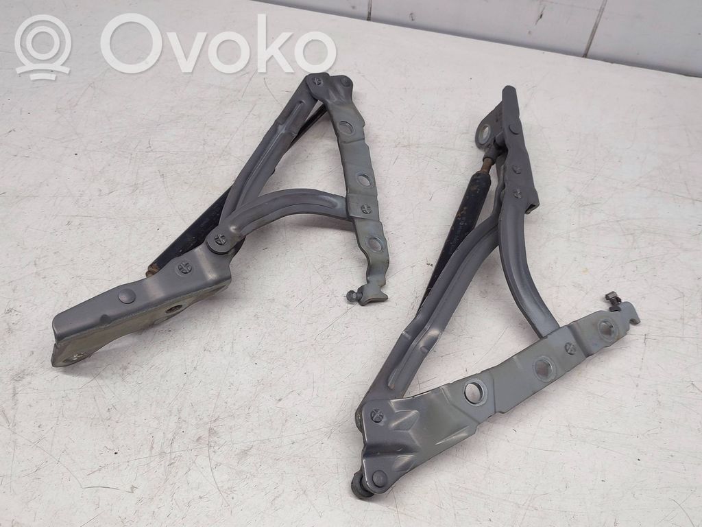 Tailgate/trunk/boot hinge   30716249,30716248