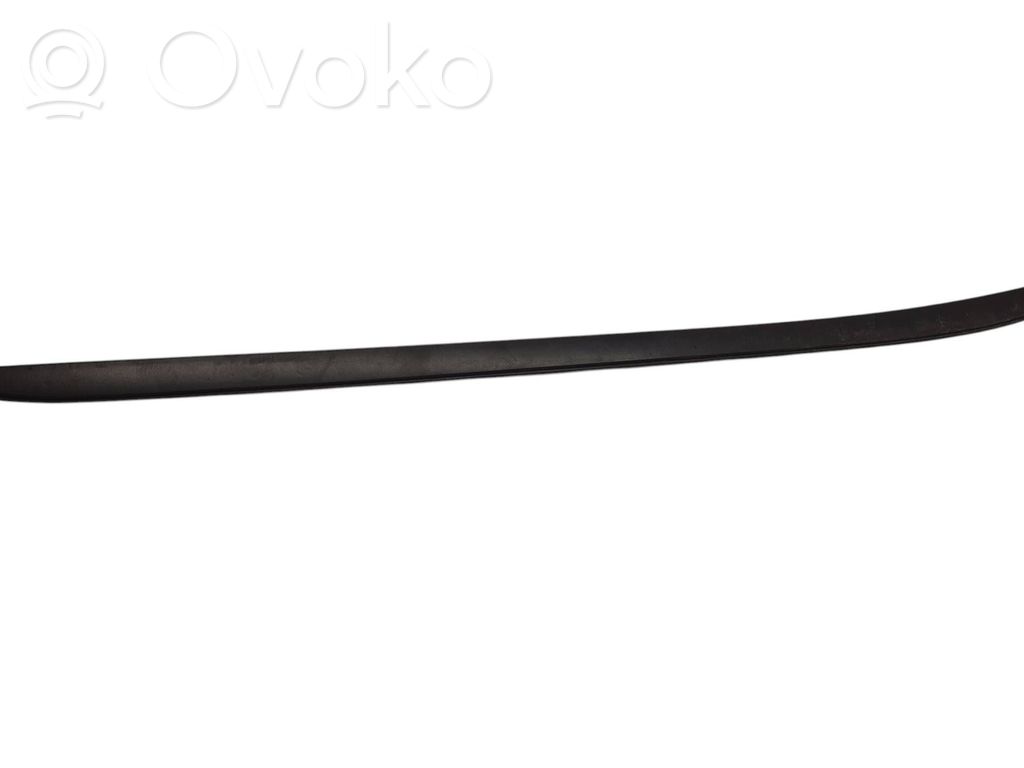 Ford Focus Windshield trim 