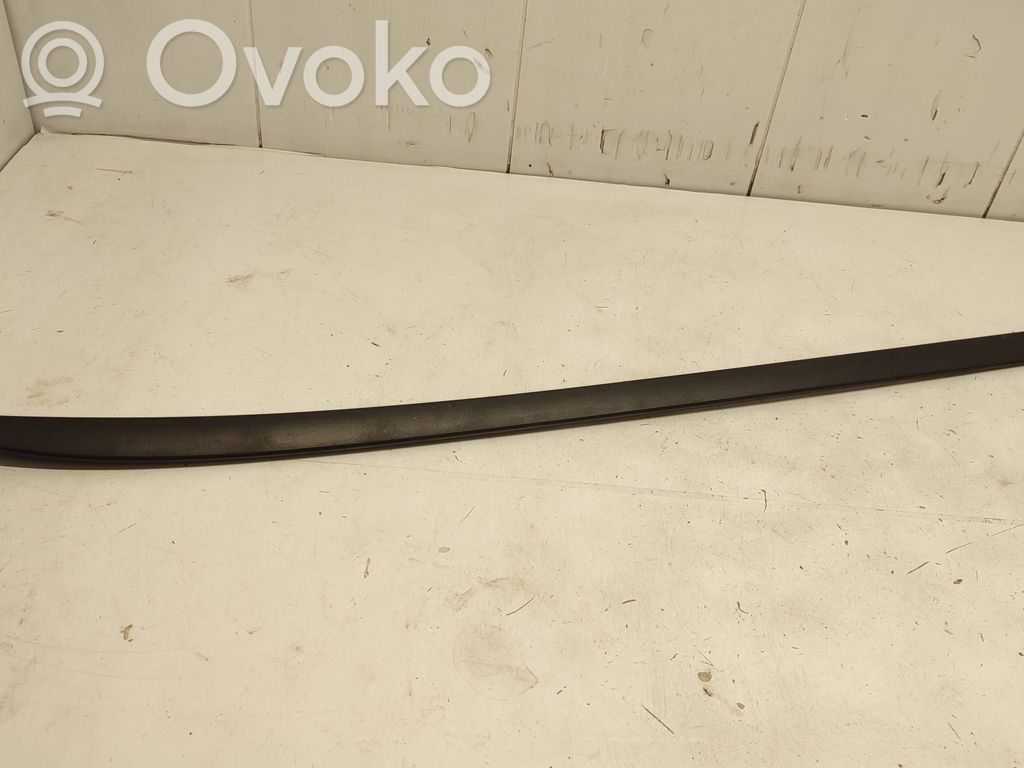 Ford Focus Windshield trim 