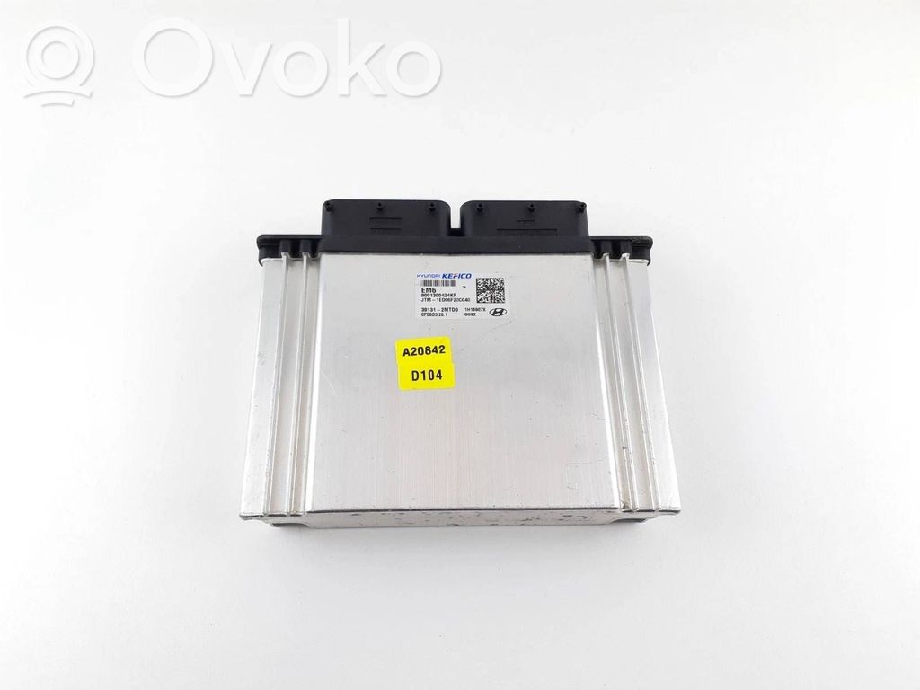 Hyundai Santa Fe Engine control unit/module 