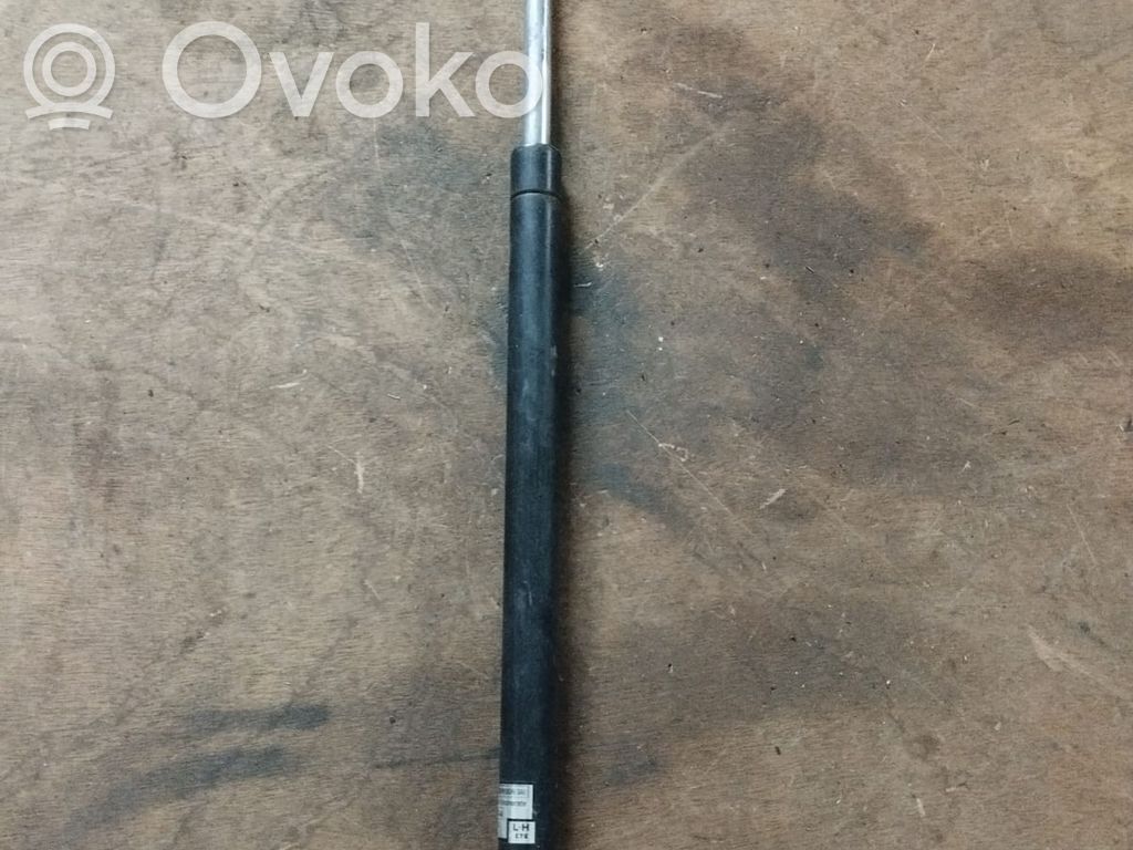 Tailgate/trunk strut/damper