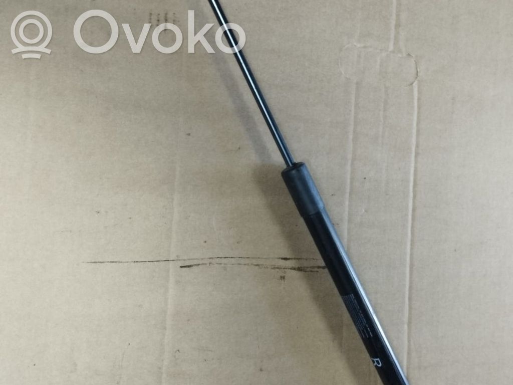 Tailgate/trunk strut/damper