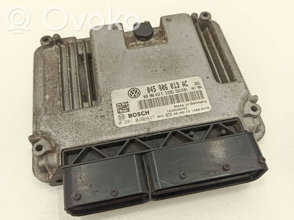 Seat Ibiza III (6L) Centralina/modulo del motore 