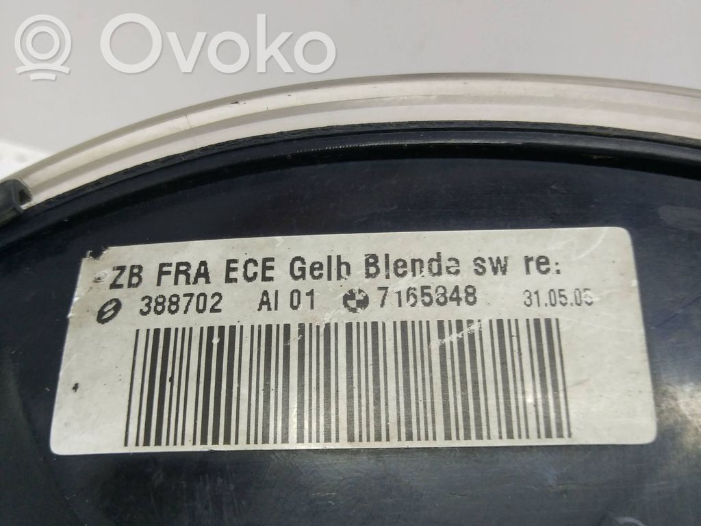 BMW 3 E46 Front indicator light 